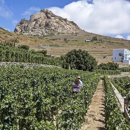 Crossroads Traditional Otel Tripótamos